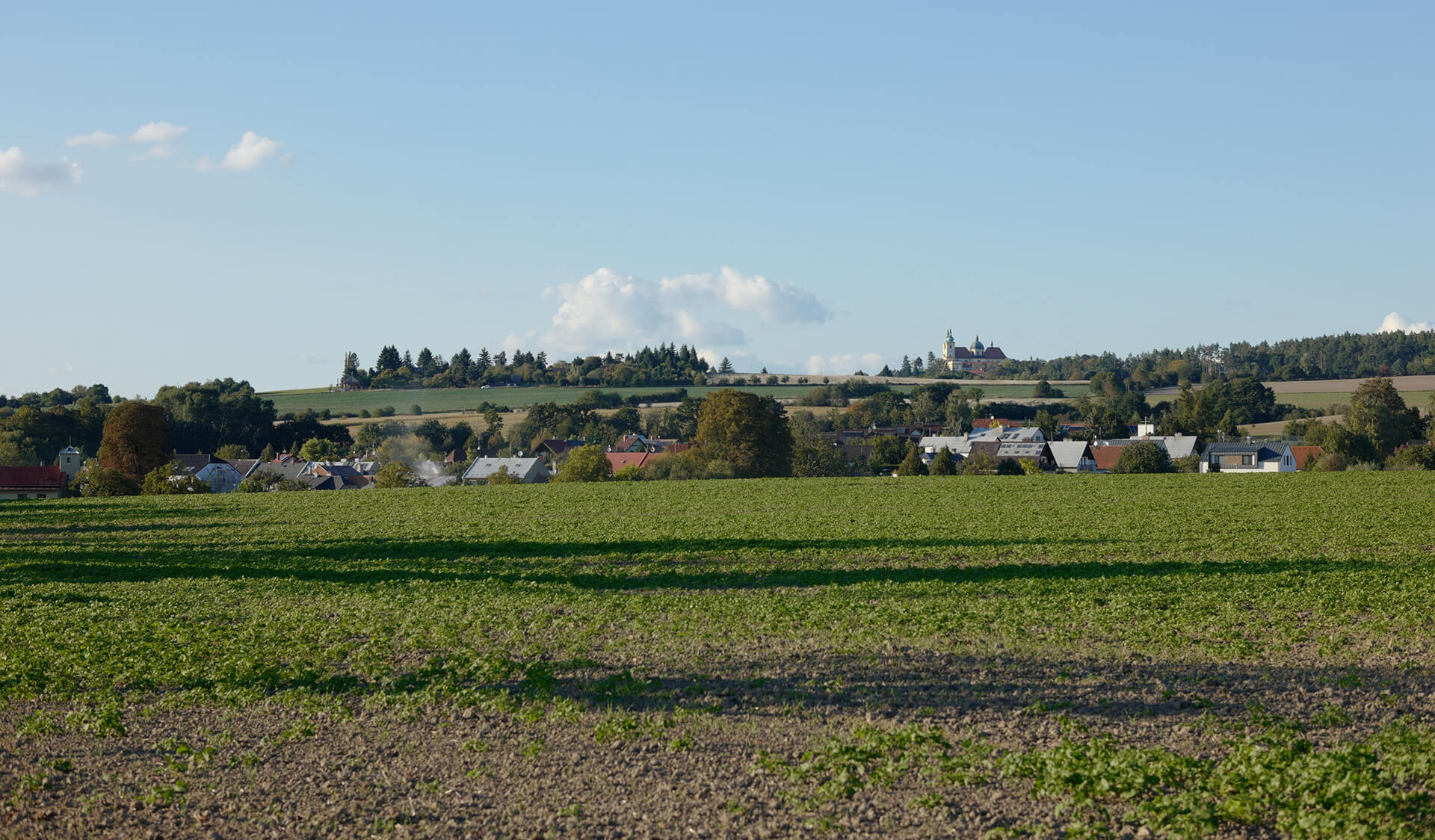 Bukovany